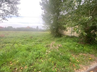 Terreno agricolo in Vendita a Cascina, 14'000€, 3950 m²