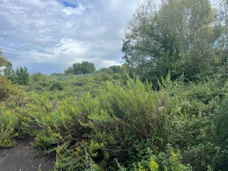 Terreno agricolo in Affitto a Pisa, 1'500€, 10000 m²