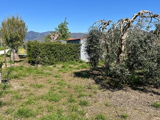 Terreno agricolo in Vendita a Cascina, 25'000€, 2100 m²