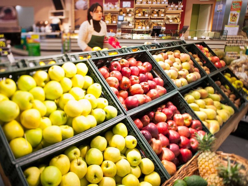 Attività commerciale in Vendita a Palaia, 500 m²