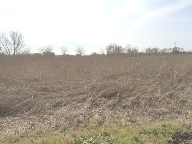 Terreno agricolo in Vendita a Castelfranco di Sotto, 40'000€, 2400 m²