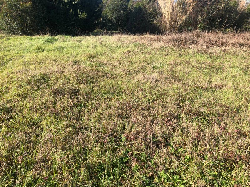 Terreno edificabile in Vendita a Pontedera, 155'000€, 3000 m²
