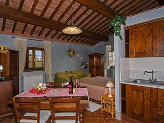 Monolocale in Affitto a Crespina Lorenzana, 600€, 25 m²