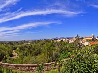 Terreno agricolo in Vendita a Fauglia, 180'000€, 88000 m²