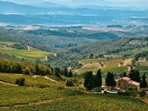 Villetta a schiera in Vendita a Collesalvetti, 6'000'000&euro;, 2000 m²