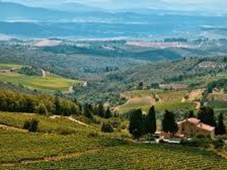 Villetta a schiera in Vendita a Collesalvetti, 6'000'000&euro;, 2000 m²