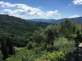 Terreno agricolo in Vendita a Fauglia, 420'000€, 75000 m²