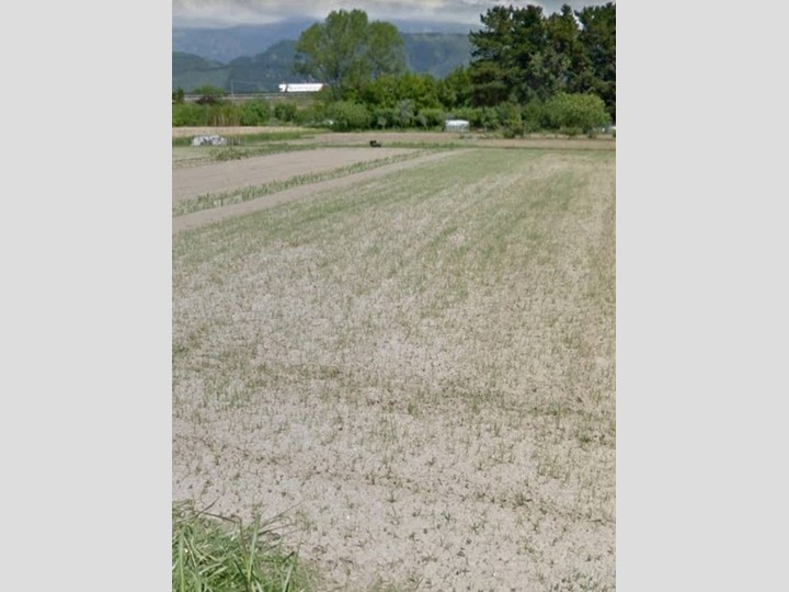 Terreno agricolo in Vendita a Massarosa, 66'000€, 11000 m²