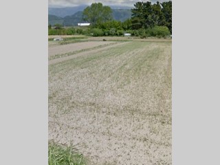 Terreno agricolo in Vendita a Massarosa, 66'000€, 11000 m²