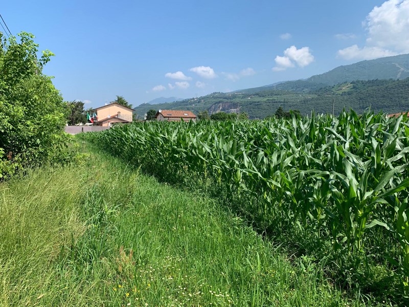 Terreno agricolo in Vendita a Pietrasanta, 100'000€, 2500 m²