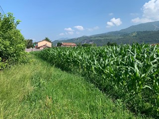 Terreno agricolo in Vendita a Pietrasanta, 100'000€, 2500 m²