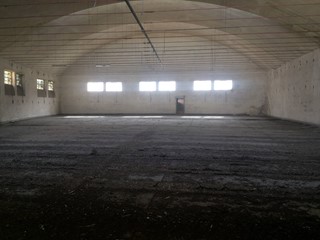 Attività commerciale in Vendita a Lucca, 4000 m²