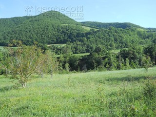 Terreno edificabile in Vendita a Acqualagna, 198'000&euro;, 1275 m²