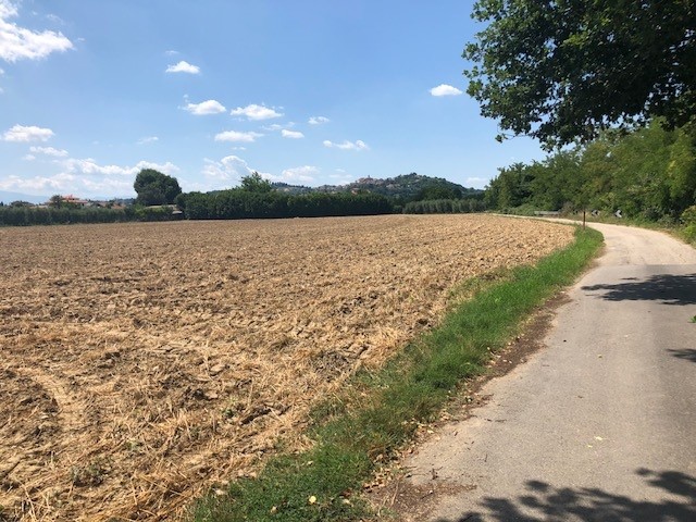 Terreno agricolo in Vendita a Spinetoli, 155'000€, 15500 m²