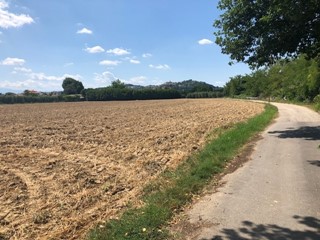 Terreno agricolo in Vendita a Spinetoli, 155'000€, 15500 m²