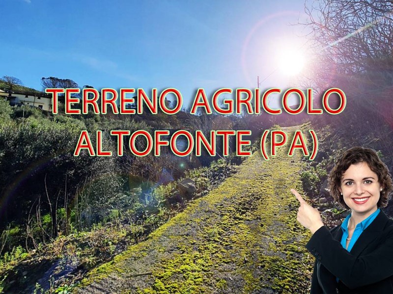 Terreno agricolo in Vendita a Altofonte, 15'000€, 3300 m²