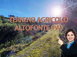Terreno agricolo in Vendita a Altofonte, 15'000€, 3300 m²