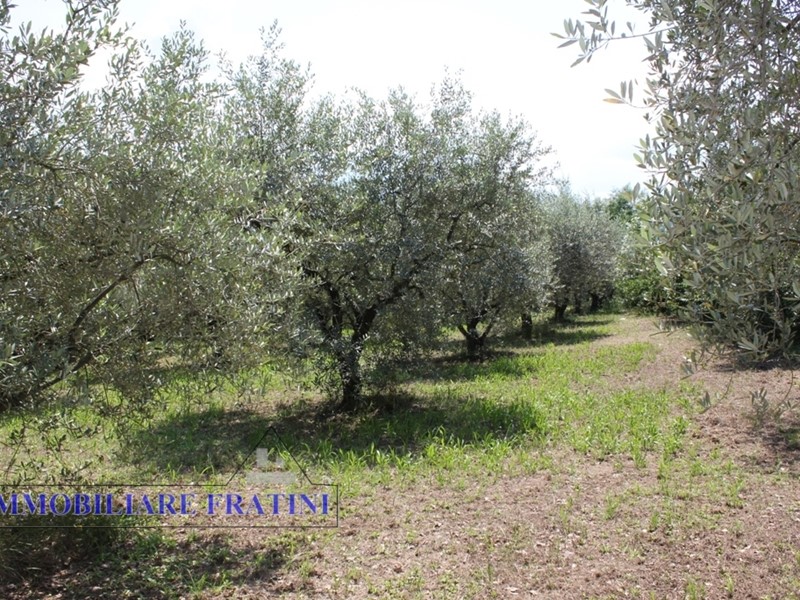Terreno edificabile in Vendita a Colli del Tronto, 120'000€, 2780 m²