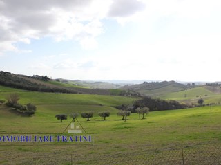 Terreno agricolo in Vendita a Appignano del Tronto, 75'000€, 52000 m²