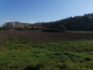 Terreno agricolo in Vendita a Bientina, 19'000€, 15000 m²