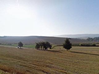 Laboratorio in Affitto a Buti, 400€, 40 m²