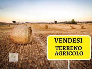 Terreno agricolo in Vendita a Premariacco, 4560 m²