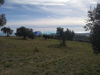 Terreno edificabile in Vendita a Colonnella, 115'000€, 950 m²