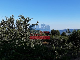 Villa in Vendita a Graniti, 23'500€, 55 m²