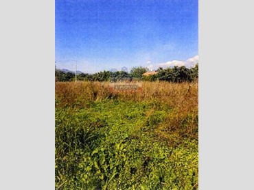 Terreno agricolo in Vendita a Calatabiano, 116'000&euro;, 5822 m²