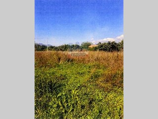 Terreno agricolo in Vendita a Calatabiano, 116'000&euro;, 5822 m²