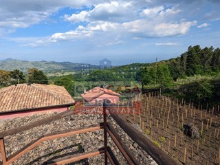 Terreno agricolo in Vendita a Linguaglossa, 294'000&euro;, 25409 m²
