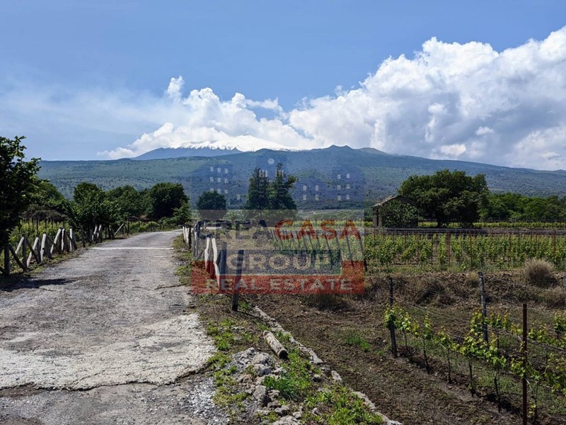 Terreno agricolo in Vendita a Castiglione di Sicilia, 45'000€, 13824 m²