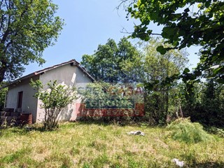 Attività commerciale in Vendita a Castiglione di Sicilia, 45'000€, 13824 m²