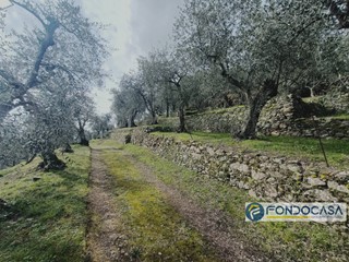 Terreno agricolo in Vendita a Buti, 17'000€, 2750 m²