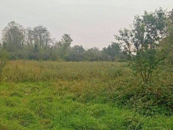 Terreno agricolo in Vendita a Cassano d'Adda, 100'000€, 10000 m²