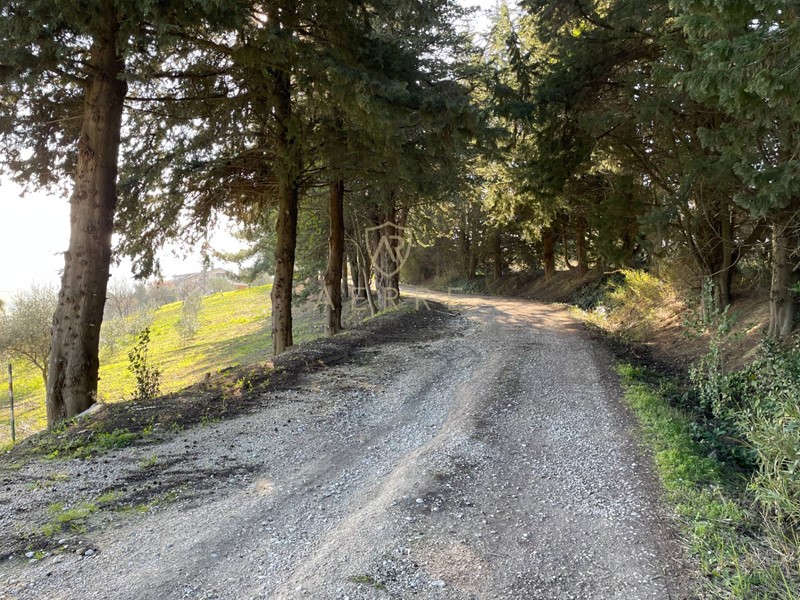 Terreno edificabile in Vendita a Bucchianico, 40'000€, 4500 m²