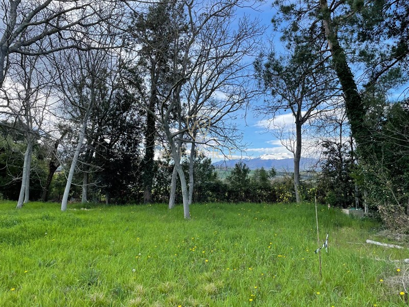 Terreno edificabile in Vendita a Cepagatti, 65'000€, 1250 m²