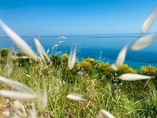 Terreno edificabile in Vendita a Ortona, 460'000€, 7992 m²