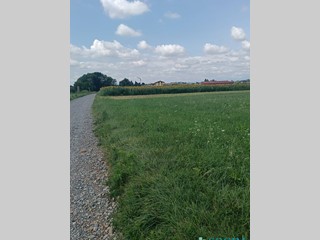 Terreno industriale in Vendita a Binago, 300'000€, 4500 m²