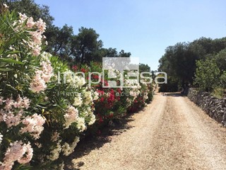 Terreno agricolo in Vendita a Carovigno, 34'000€, 8000 m²