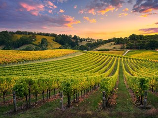 Terreno agricolo in Vendita a Monterotondo, 89'000€, 32474 m²