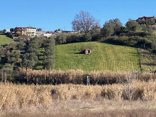 Terreno agricolo in Vendita a Monterotondo, 19'000€, 6400 m²