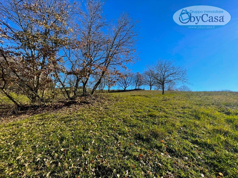 Terreno agricolo in Vendita a Canale Monterano, 28'000€, 7660 m²