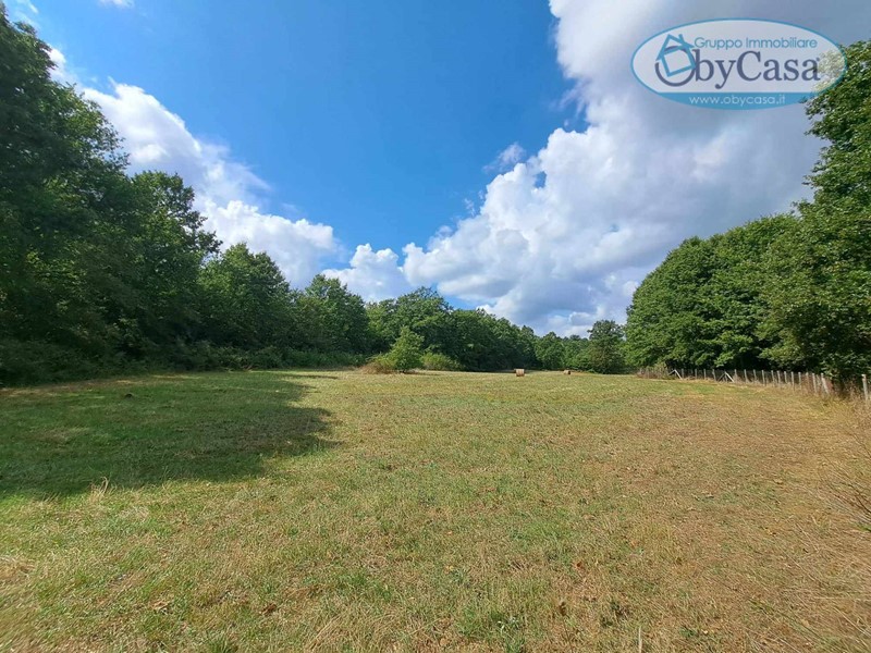 Terreno agricolo in Vendita a Oriolo Romano, 21'000€, 13760 m²