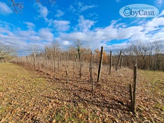 Terreno agricolo in Vendita a Oriolo Romano, 29'000€, 10000 m²