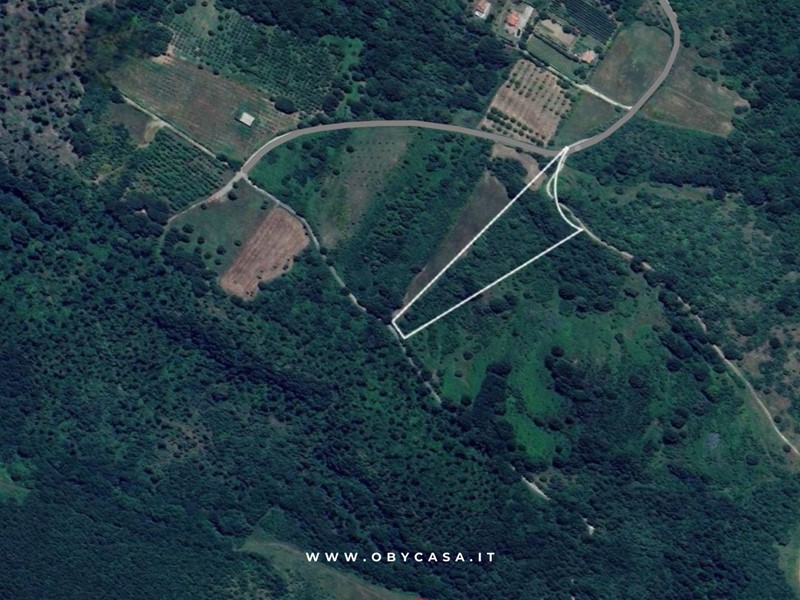 Terreno agricolo in Vendita a Oriolo Romano, 8'000€, 10330 m²