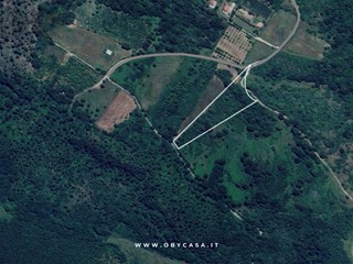 Terreno agricolo in Vendita a Oriolo Romano, 8'000€, 10330 m²
