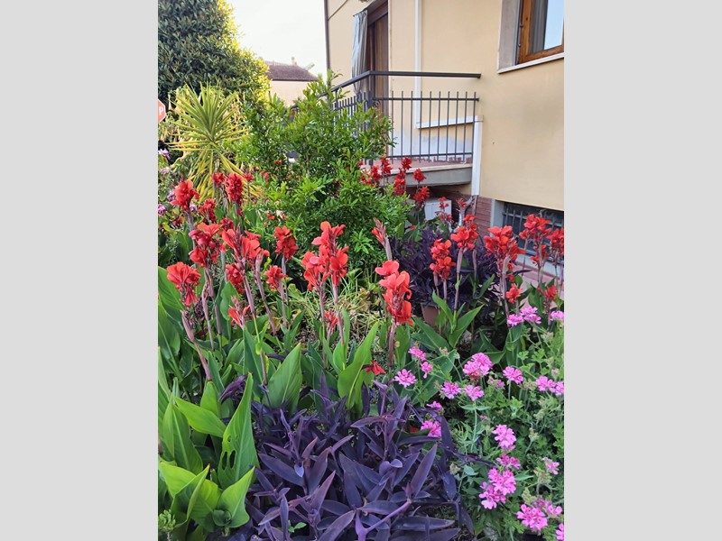 Quadrilocale in Vendita a Montespertoli, 245'000€, 150 m²