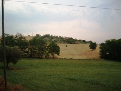 Terreno edificabile in Vendita a Controguerra, 160'000€, 28000 m²