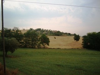 Terreno edificabile in Vendita a Controguerra, 160'000&euro;, 28000 m²